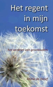 Het regent in mijn toekomst